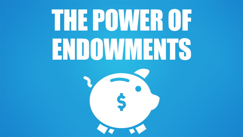 Power of Endowments